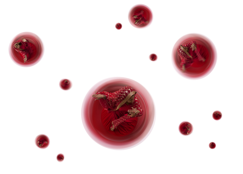 7)RED COSMO jpg